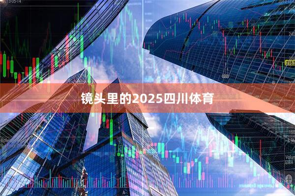 镜头里的2025四川体育