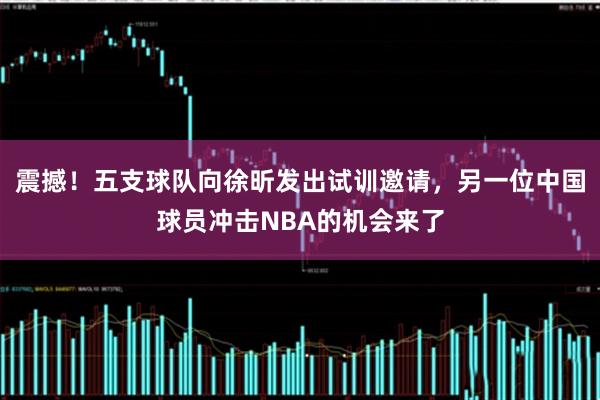 震撼！五支球队向徐昕发出试训邀请，另一位中国球员冲击NBA的机会来了