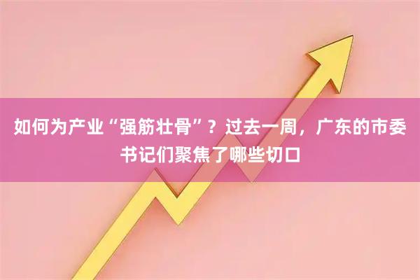 如何为产业“强筋壮骨”？过去一周，广东的市委书记们聚焦了哪些切口