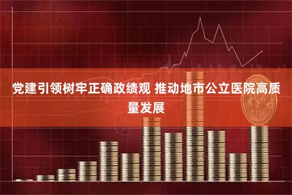 党建引领树牢正确政绩观 推动地市公立医院高质量发展