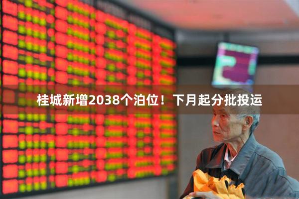桂城新增2038个泊位！下月起分批投运