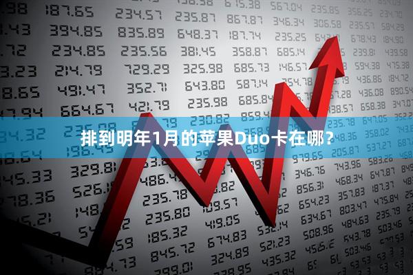 排到明年1月的苹果Duo卡在哪？